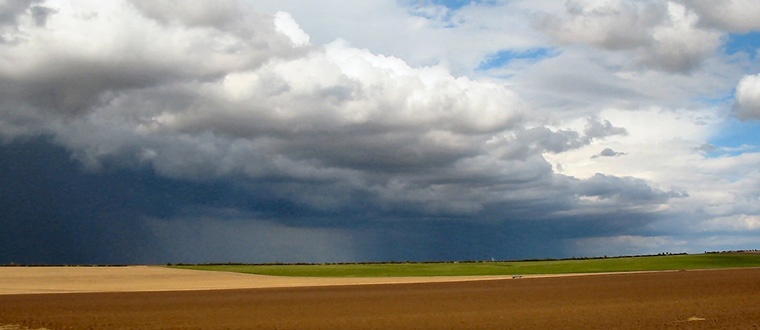 header.jpg